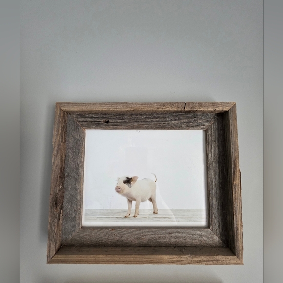 Restoration Hardware Rare Nursery Baby Animals - Picture 6 of 11